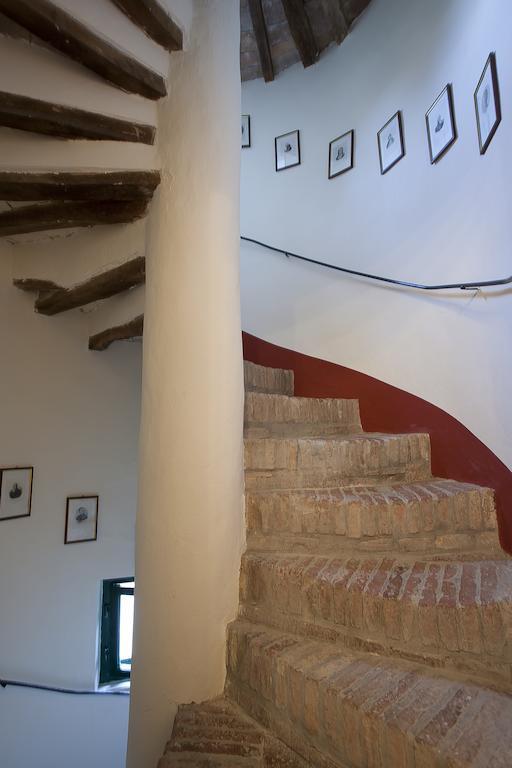 Fattoria Della Gioiosa - Agriturismo La Gelinda Pension Casale Marittimo Buitenkant foto